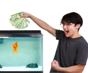 Michael Reeves goldfish : l'histoire complète